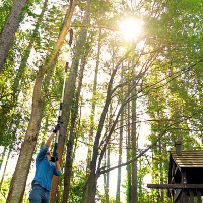 Image showing  8 in. 20V Cordless Pole Saw, Battery and Charger Not Included