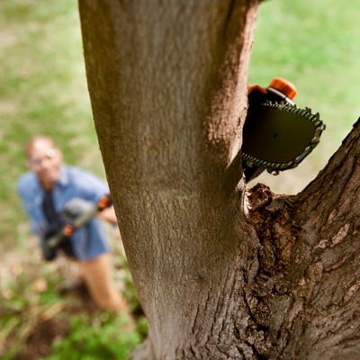 Image showing 8 th WORX 8 in. 20V Cordless Pole Saw, Battery and Charger Not Included