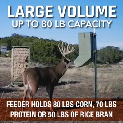 Image showing  Hanging Deer Feeder