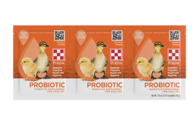 Purina Probiotic Digestive Supplement for Poultry, 3 x 0.17 oz. packets