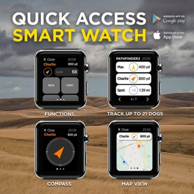 Image showing 6 th Dogtra Pathfinder2 9-Mile GPS Dog Tracking and Training System