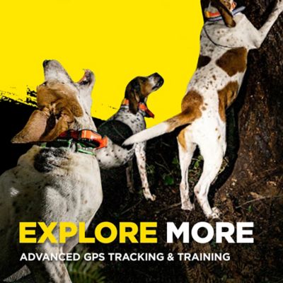 Image showing 7 th Dogtra Pathfinder2 9-Mile GPS Dog Tracking and Training System