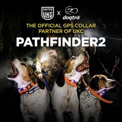 Image showing 8 th Dogtra Pathfinder2 9-Mile GPS Dog Tracking and Training System