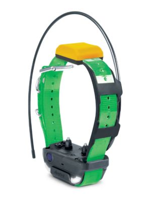 Image showing  Additional Receiver for PATHFINDER2 GPS Dog Tracking and Training System, Green