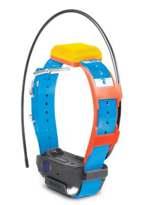 Image showing  Pathfinder2 TRX Additional Receiver, Blue