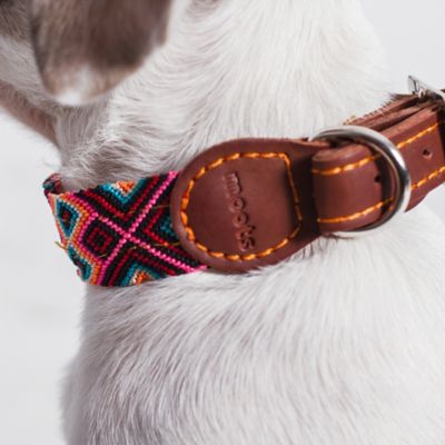 Image showing  Root Hand-Knitted Leather Pet Collar, Small