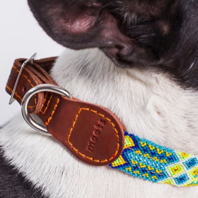 Image showing  Root Hand-Knitted Leather Pet Collar