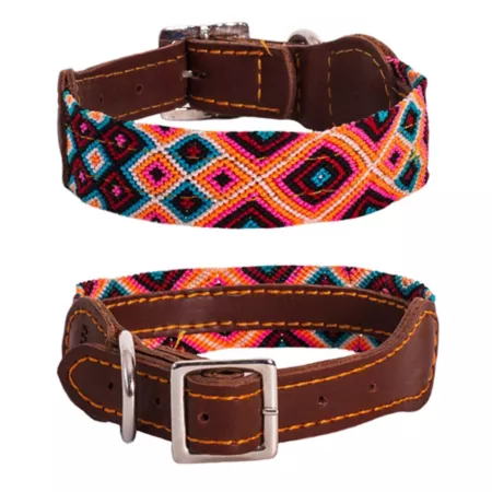 Moots Root Hand Knitted Leather Pet Collar Large Dog Basic Collars