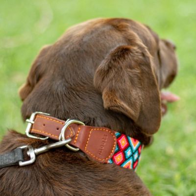 Image showing  Root Hand-Knitted Leather Pet Collar, Large