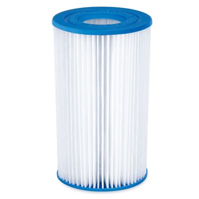 Image showing  Type A/C Pool Filter Cartridge, 2 pc.
