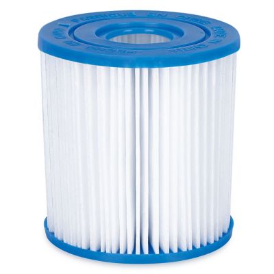 Image showing  Type I Pool Filter Cartridge, 2 pc.