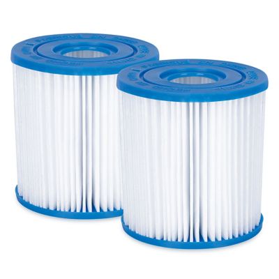 Image showing  Type I Pool Filter Cartridge, 2 pc.