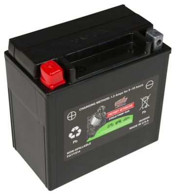 Interstate Batteries 12V 200 CCA Powersport Battery, FAYTX14