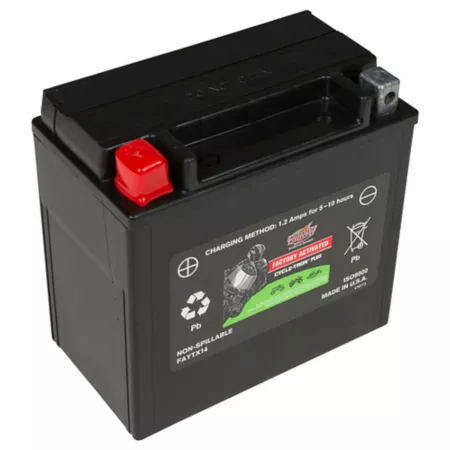 Powersport Battery Interstate Batteries 12V 200CCA FAYTX14 Powersport Batteries