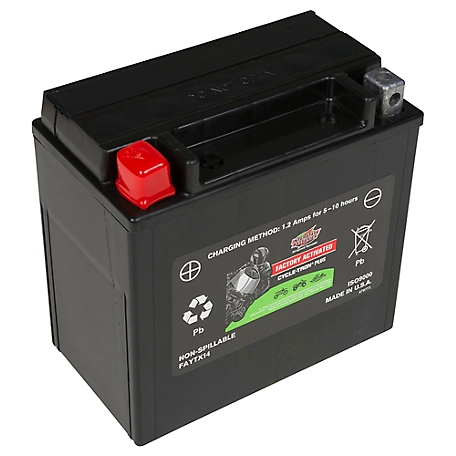 Interstate Batteries Powersports Battery, FAYTX14