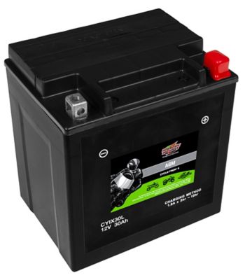 Interstate Batteries Powersports Battery, CYIX30L-BS