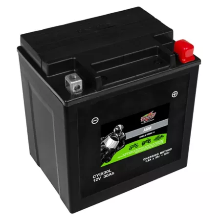 Interstate Batteries 12V 385 CCA Powersport Battery Powersport Batteries