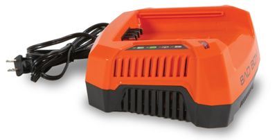 Image showing  18 in. 80V Cordless Chainsaw, Battery and Charger Included, 3/8 in. Pitch