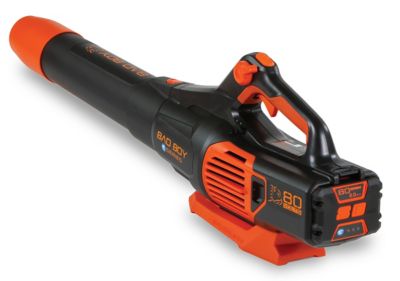 Image showing  170 MPH/730 CFM 80V Cordless Handheld Leaf Blower, Battery and Charger Included