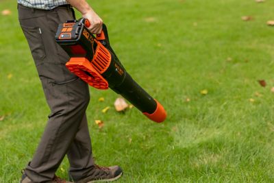Image showing  170 MPH/730 CFM 80V Cordless Handheld Leaf Blower, Battery and Charger Included