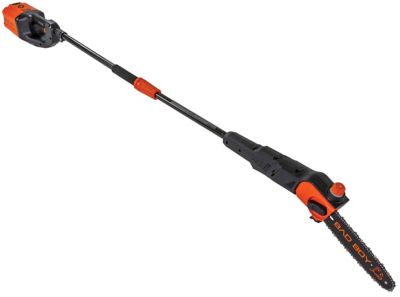 Image showing  10 in. 80V Cordless Pole Saw, Battery and Charger Included