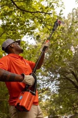 Image showing 5 th Bad Boy 10 in. 80V Cordless Pole Saw, Battery and Charger Included