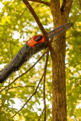 Image showing 7 th Bad Boy 10 in. 80V Cordless Pole Saw, Battery and Charger Included