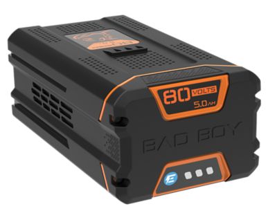 Image showing  80V 5.0 Ah Battery