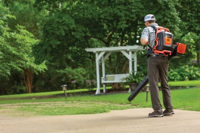 Image showing  80V 5.0 Ah Battery