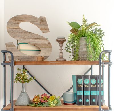 Image showing  Rustic Large Natural Decorative Monogram Wood Letter (S), 16 in., Weathered Gray