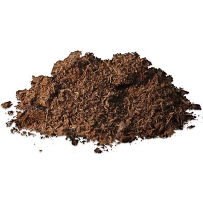 Image showing  Peat Moss