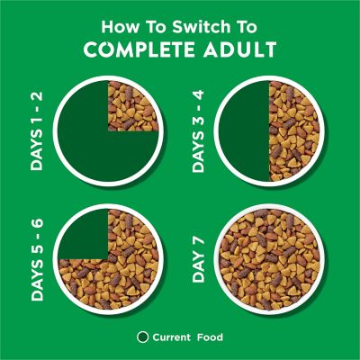 Image showing 8 th Purina Dog Chow Complete Adult Chicken Formula Dry Dog Food Kibble