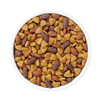 Image showing  Complete Adult Beef Formula Dry Dog Food