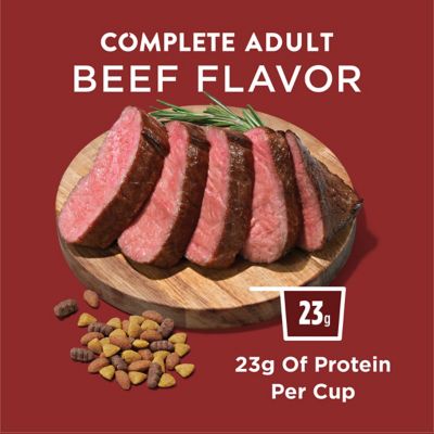 Image showing  Complete Adult Beef Formula Dry Dog Food