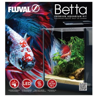 Image showing  Betta Kit 2.6 Gallon