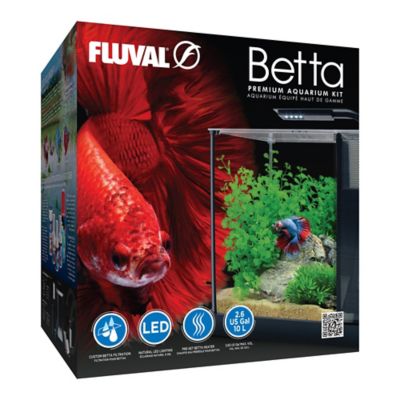 Image showing  Betta Kit 2.6 Gallon