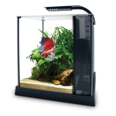 Image showing  Betta Kit 2.6 Gallon
