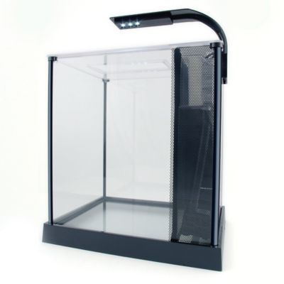Image showing 5 th Fluval Betta Kit 2.6 Gallon