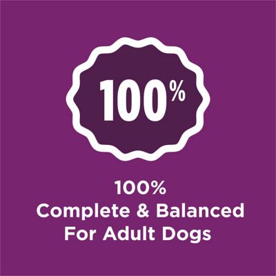 Image showing  Complete Adult Lamb Formula Dry Dog Food Kibble