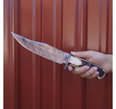 Image showing  6 in. King's Stag Bowie Knife