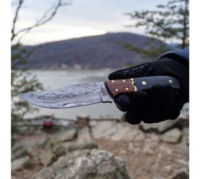 Image showing  4.25 in. Rain Forest Hunter Knife