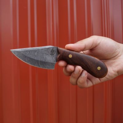 Image showing  3.25 in. Wild Skinner Knife
