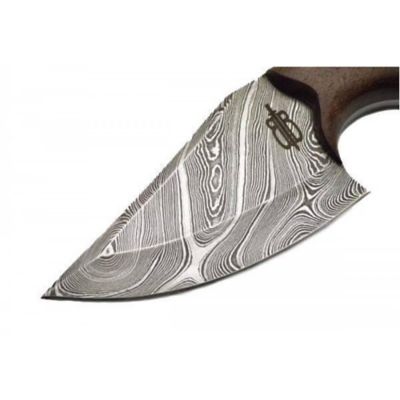 Image showing  3.25 in. Wild Skinner Knife