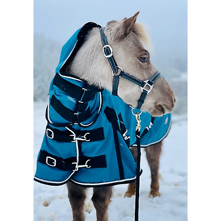 Star Point Horsemanship 1200D Waterproof Hooded Horse Blanket, Mediumweight, 220g