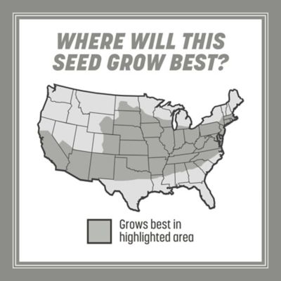 Image showing  40 lb. 8,000 sq. ft. Central Contractors Grass Seed Mix