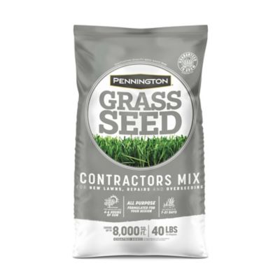 Siugrass. Pennington 5 lb. 100 sq. ft. Smart Patch Zenith Zoysia Grass
