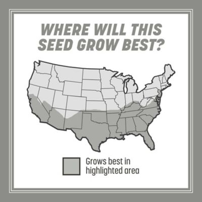 Image showing  40 lb. 8,000 sq. ft. Southern Contractors Grass Seed Mix