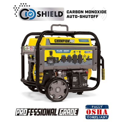 Portable electric deals power generator