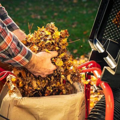 Image showing 7 th DR Power Equipment Pilot XTSP 173cc Gas Walk-Behind Leaf and Lawn Vacuum