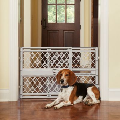 MyPet 23 in. Paws Portable Plastic Pet Gate